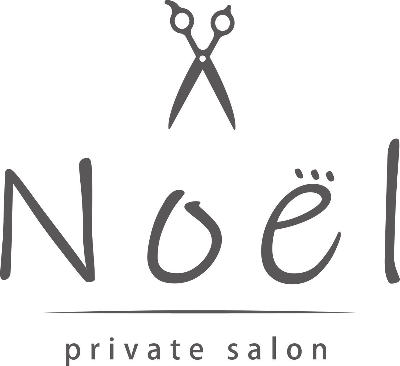 private salon Noel